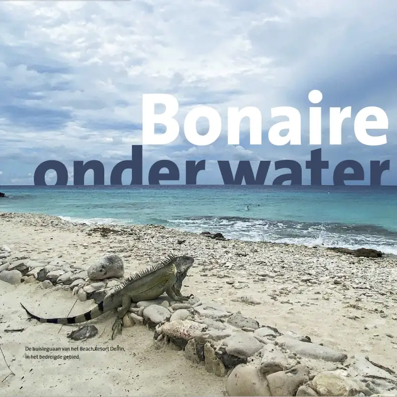 Bonaire onder water