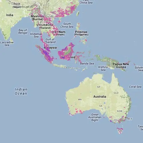 Kaart Global Forest Watch