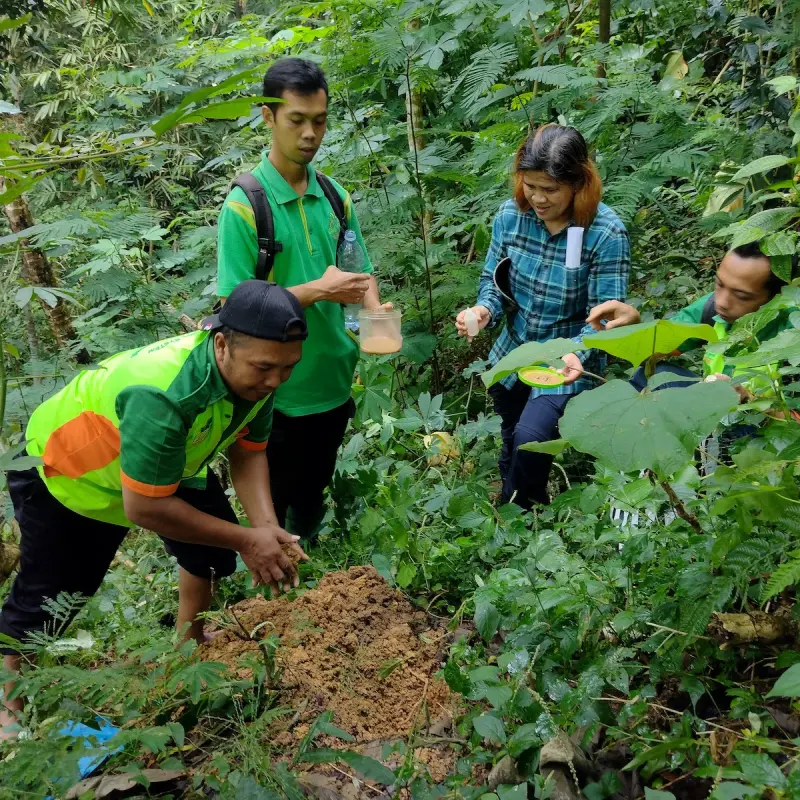 Kennis over grond in Indonesië 