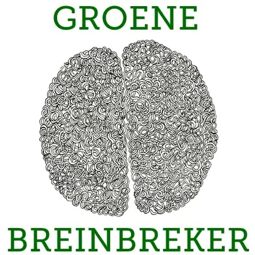 Groene Breinbreker