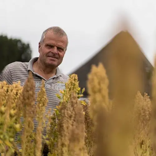 Quinoa Jan Zeeman foto P+ People Planet Profit