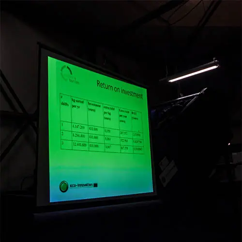 Green Return on Investment (ROI)