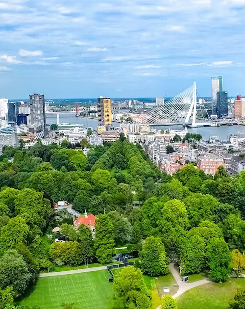 Rotterdam Skyline