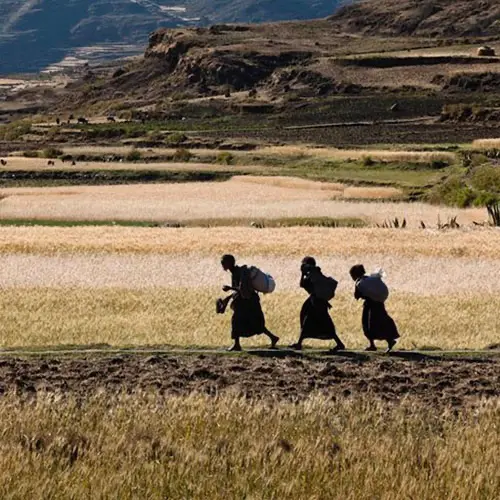 Afrikaanse boeren verdreven door landopkopers