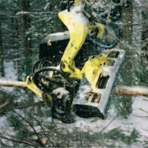 Bomen rooien, foto Mischa Keijser