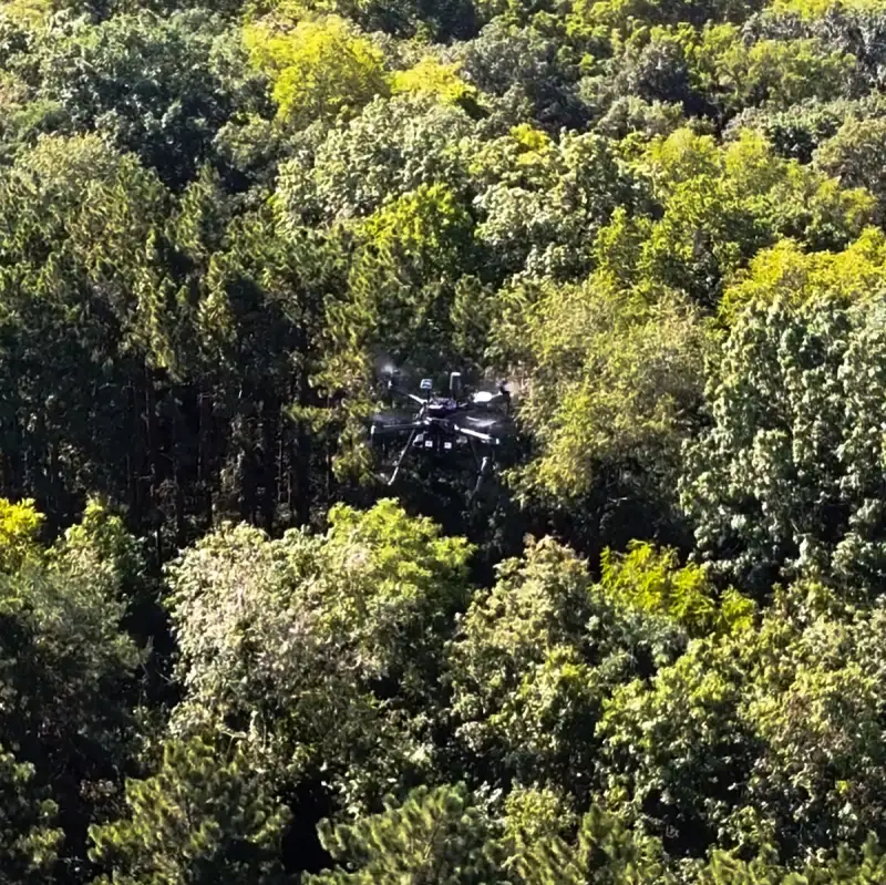 Soortenonderzoek bomen met een drone