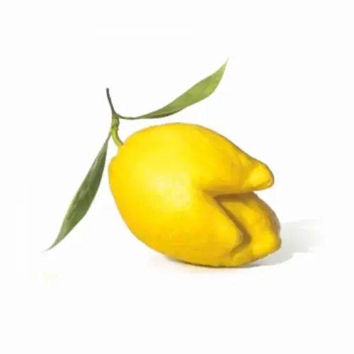 niet volmaakte citroen
