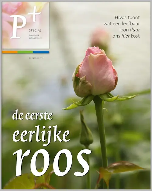 Eerste eerlijke roos 