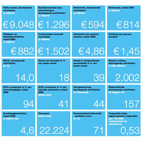 DSM Kerncijfers 2011