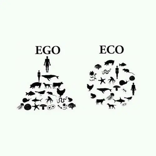 ego vs eco