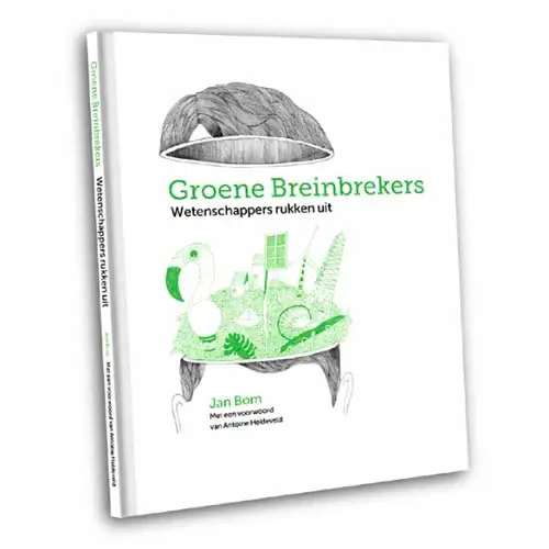 Cover Groene Breinbrekers