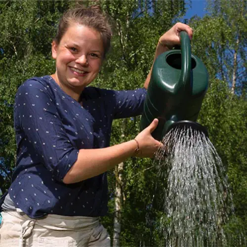 grondwater