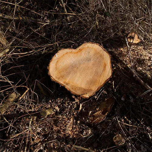 wooden heart