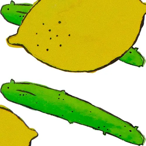 komkommers citroenen