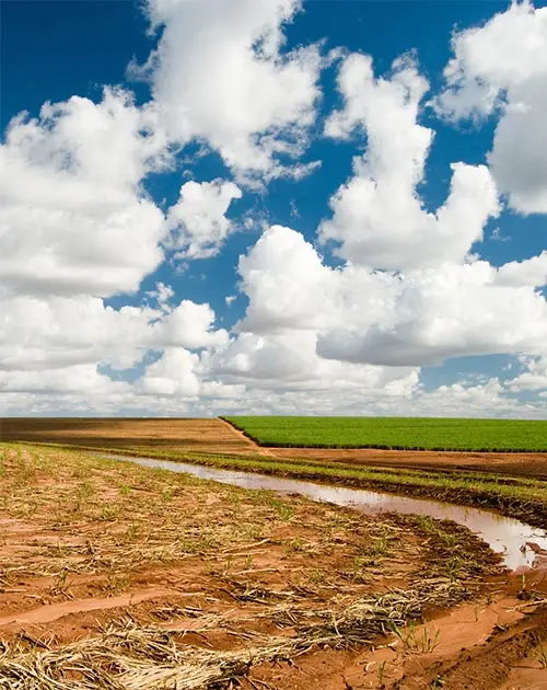 Landscape Brazil