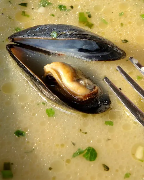 Mossel microplastics