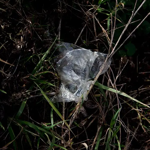 Plastic #zwerfie, foto P+ People Planet Profit