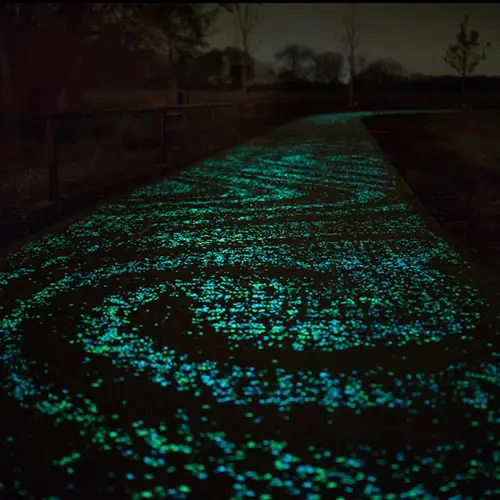 Roosegaarde Wired