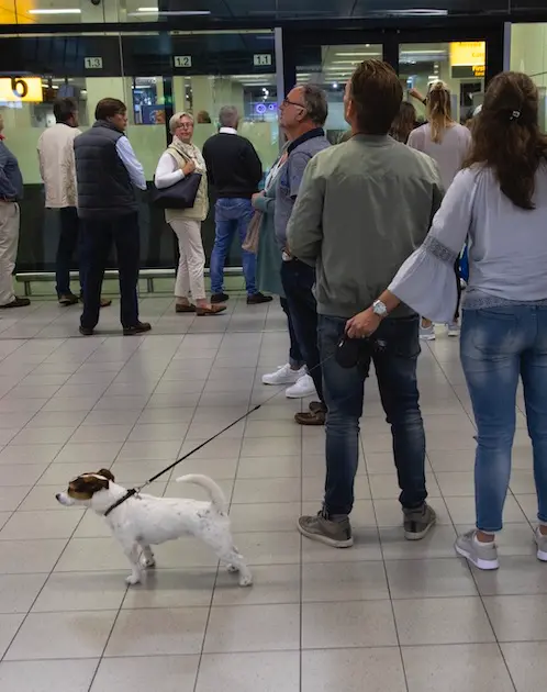 Schiphol verkeerstoren