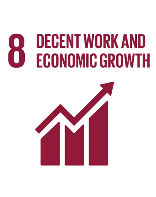 SDG 8