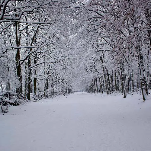 sneeuw op de weg