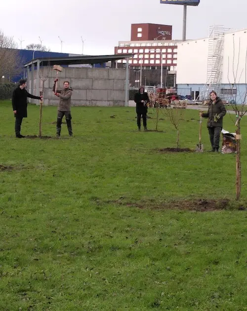 Straatboer plant nu ook fruitbomen