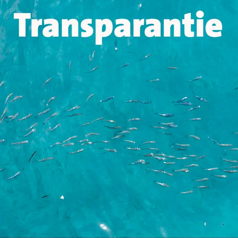 Transparency, foto P+ People Planet Profit
