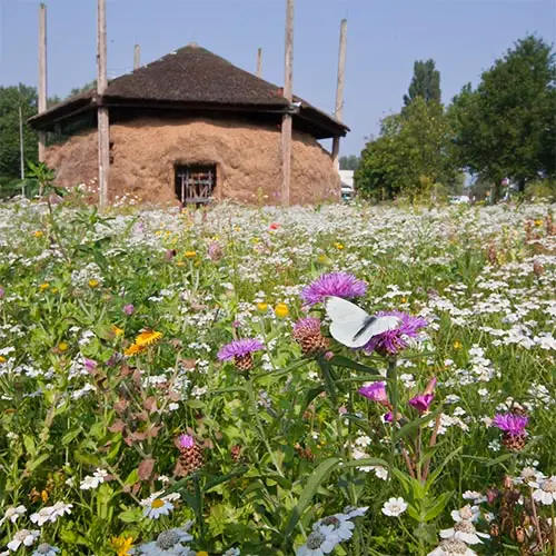 Natuurbeheer VCA, foto Joost Bouwmeester